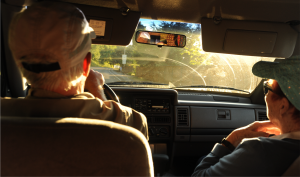 Two older adults driving in a car